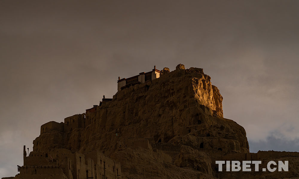 20214191618796968999_270_b