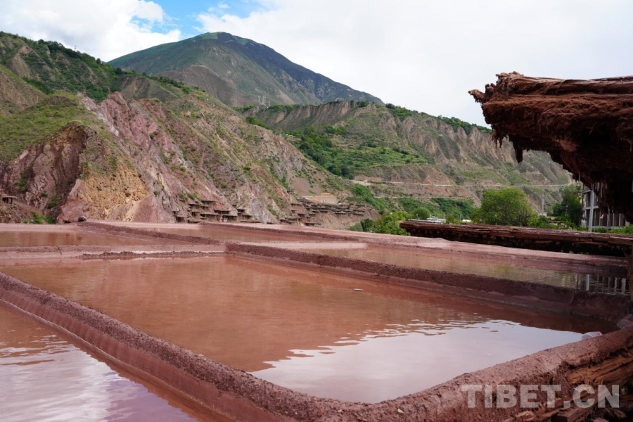 图片38.png