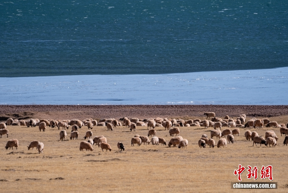 ScreenShot_2026-03-30_152248_748